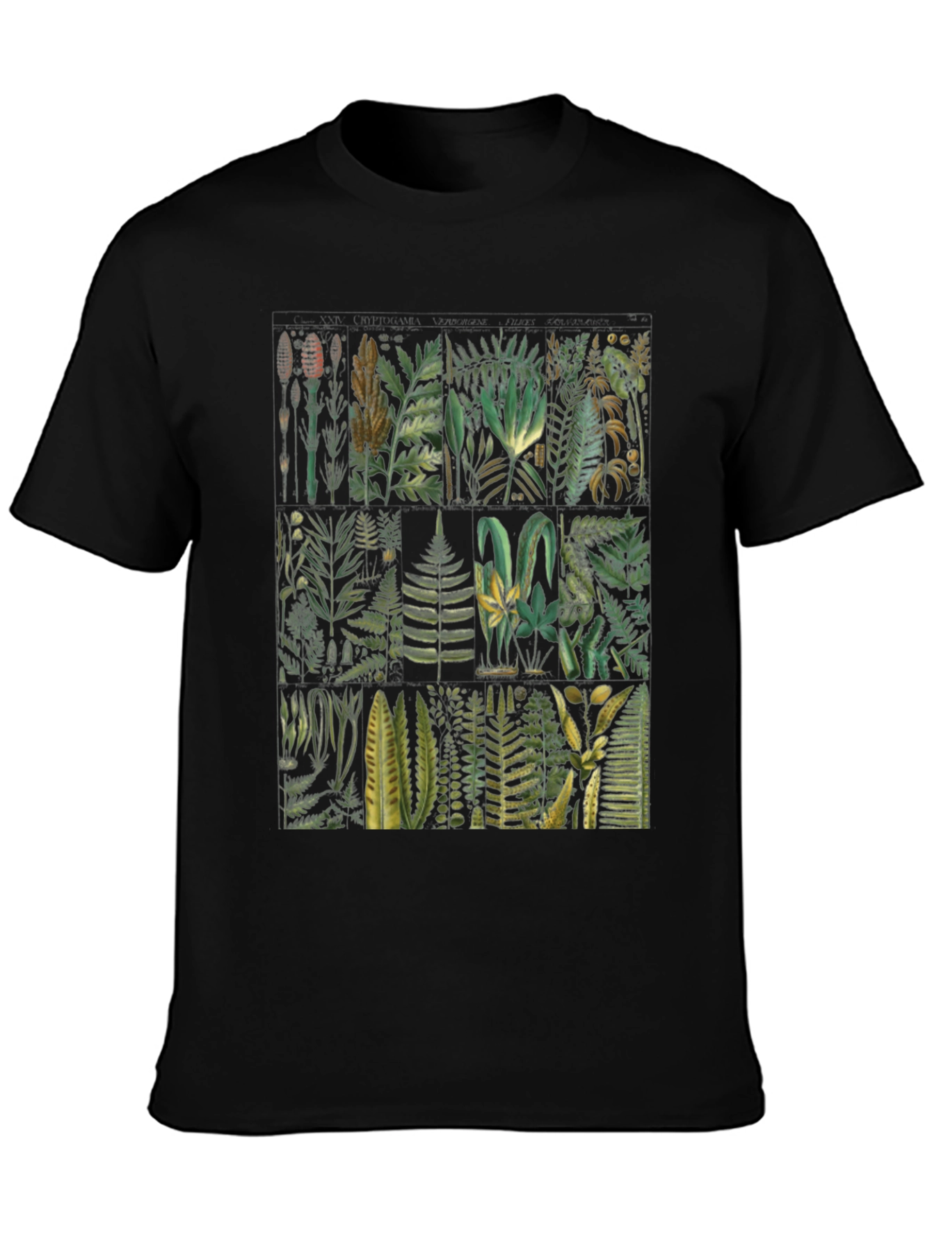 Botanical Fern Print Black T-Shirt