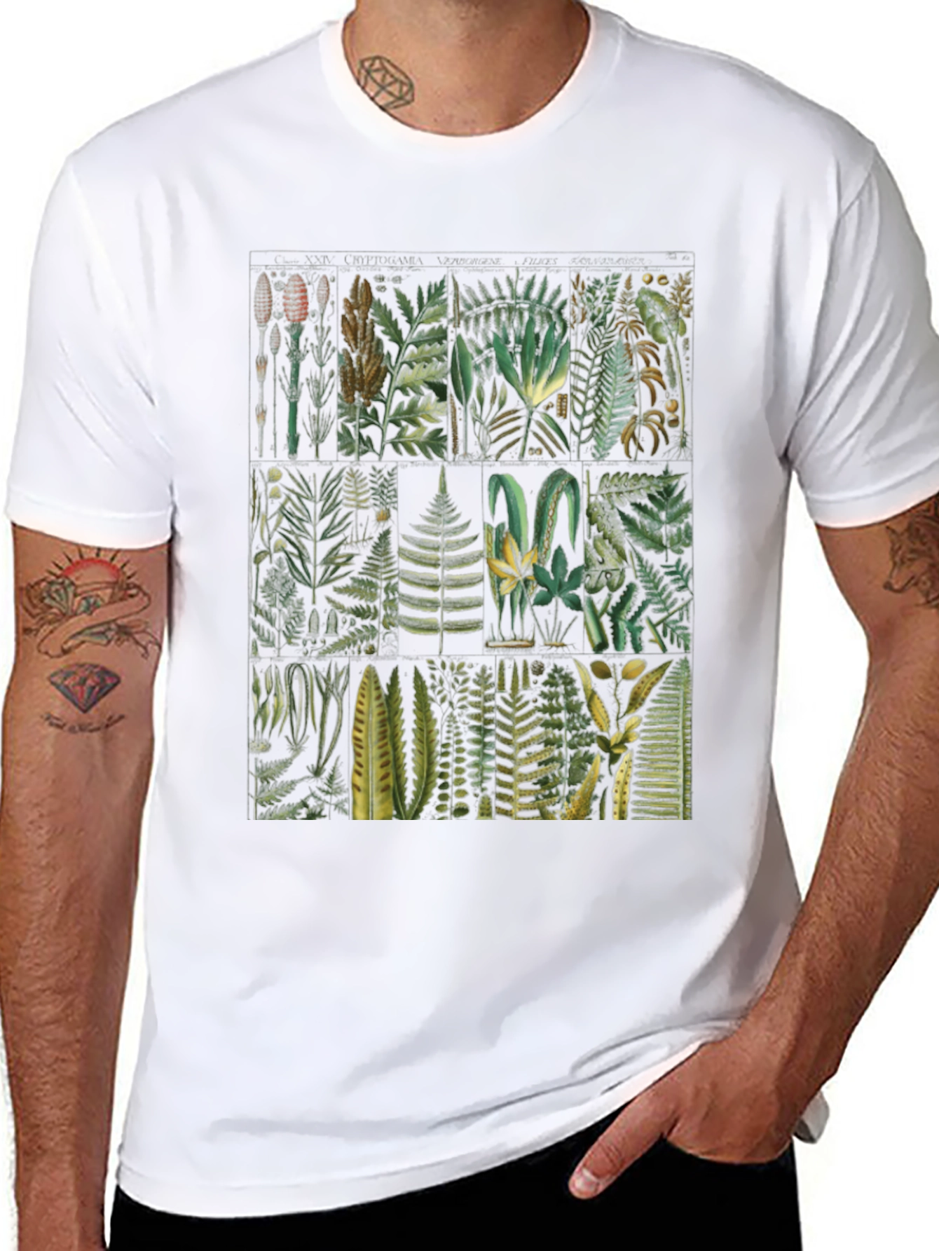 Botanical Fern Print Black T-Shirt