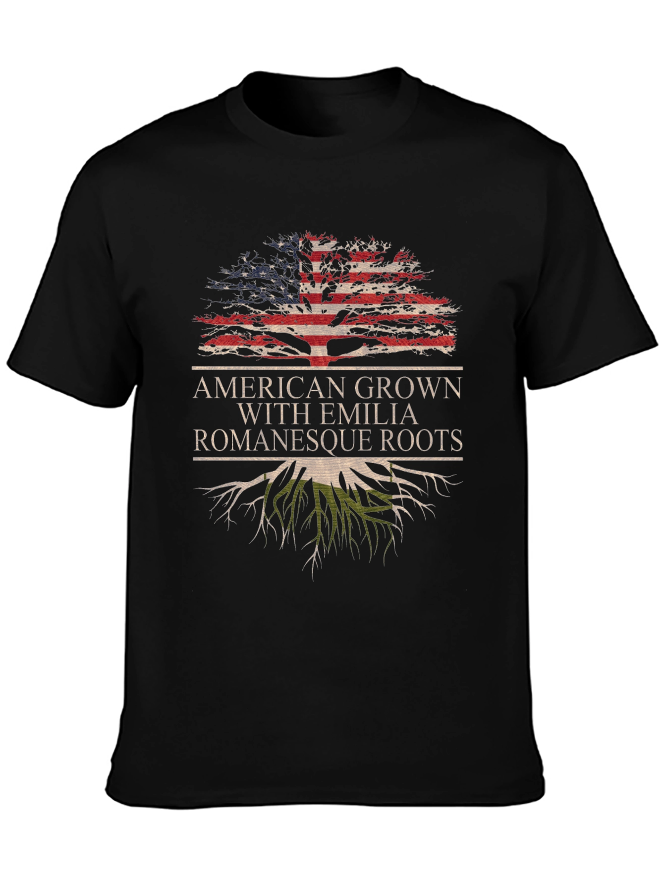 Emilia Romagna Roots USA Pride T-Shirt