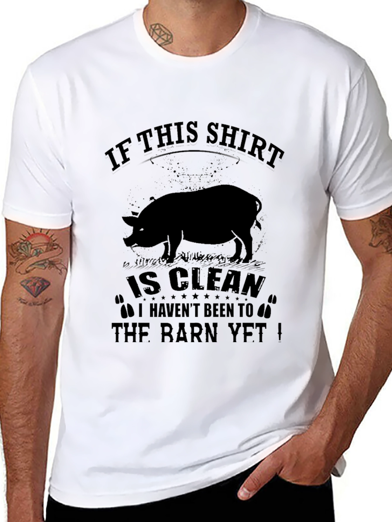 Funny Pig T-Shirt: If This Shirt Is Clean...