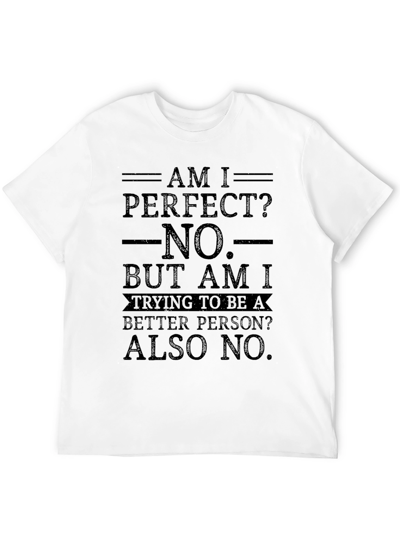 Am I Perfect? Funny Graphic Novelty T-Shirt