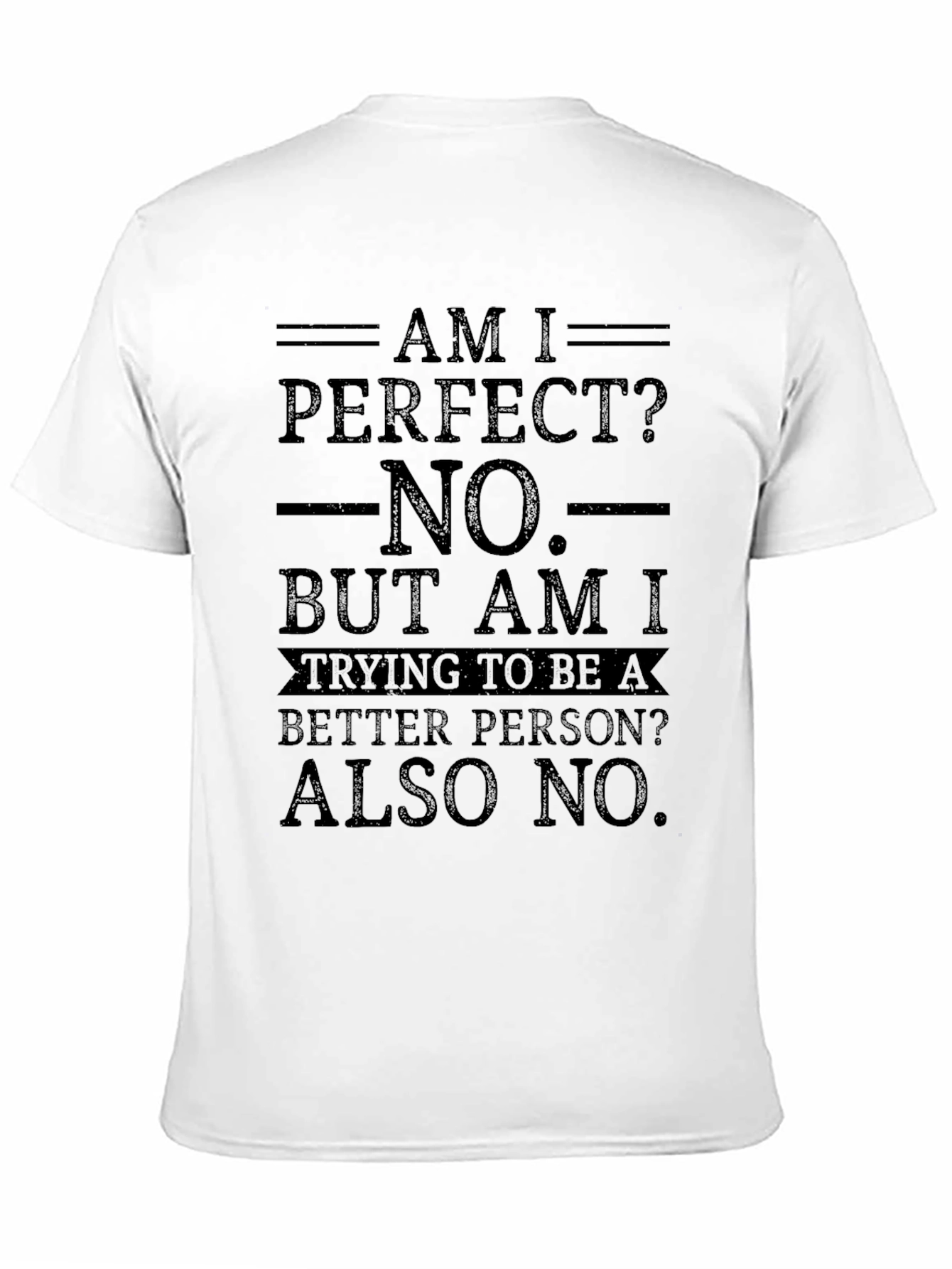 Am I Perfect? Funny Graphic Novelty T-Shirt